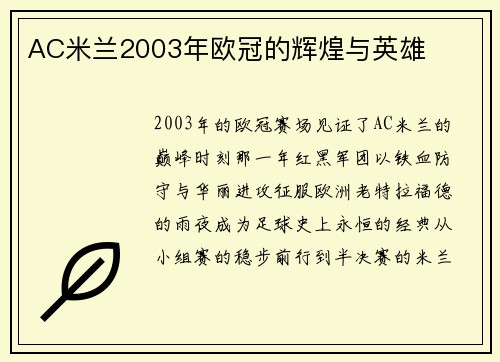 AC米兰2003年欧冠的辉煌与英雄